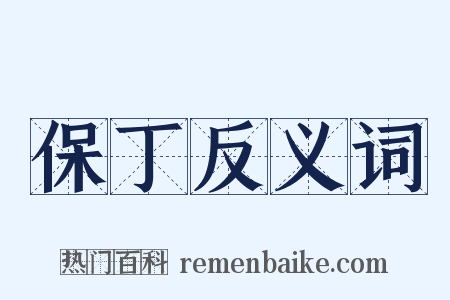 保丁反义词是什么意思的图片